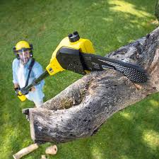 Best Landscape Design and Installation  in Lost Hills, CA