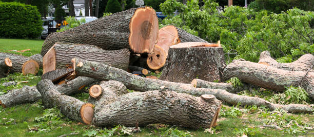 Best Aeration Services  in Lost Hills, CA